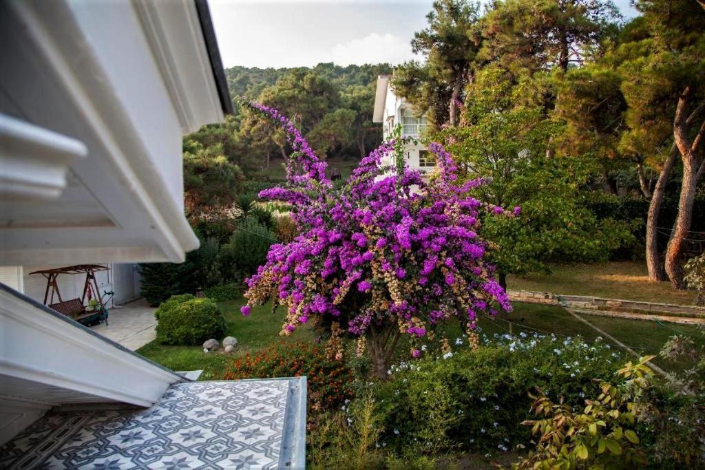 Triada Hotel Bueyuekada Adalar Extérieur photo